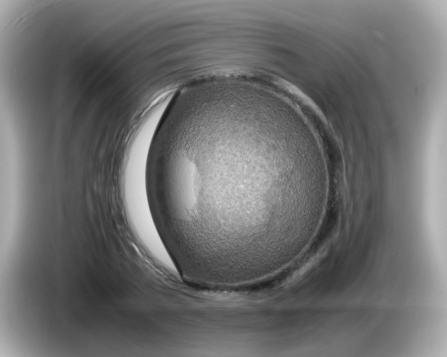 X0000085790785200704091429