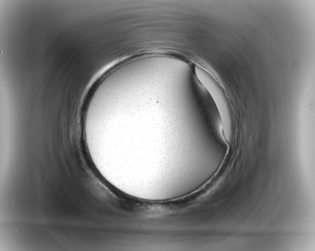 X0000085790787200704091429