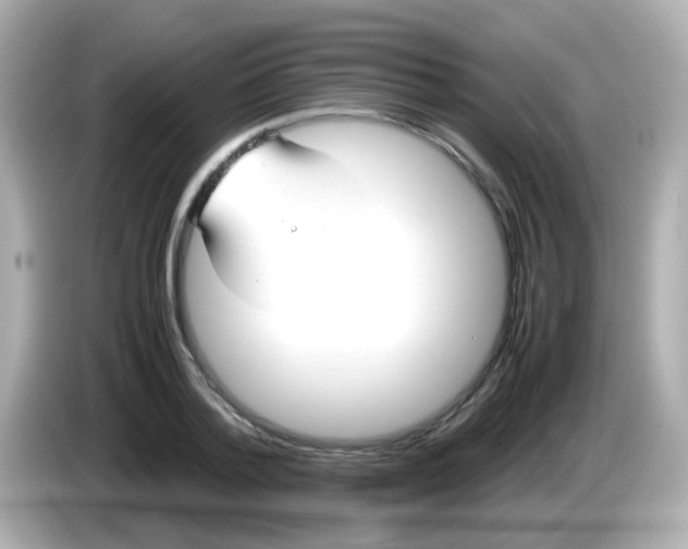 X0000085790788200704091429