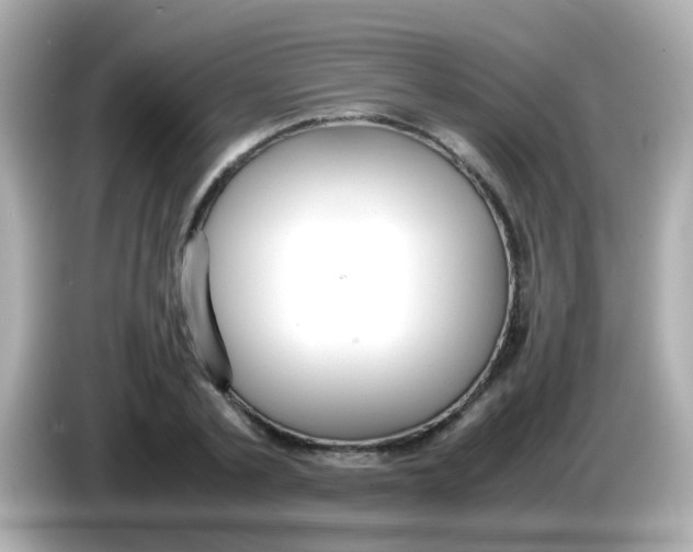 X0000085790789200704091429