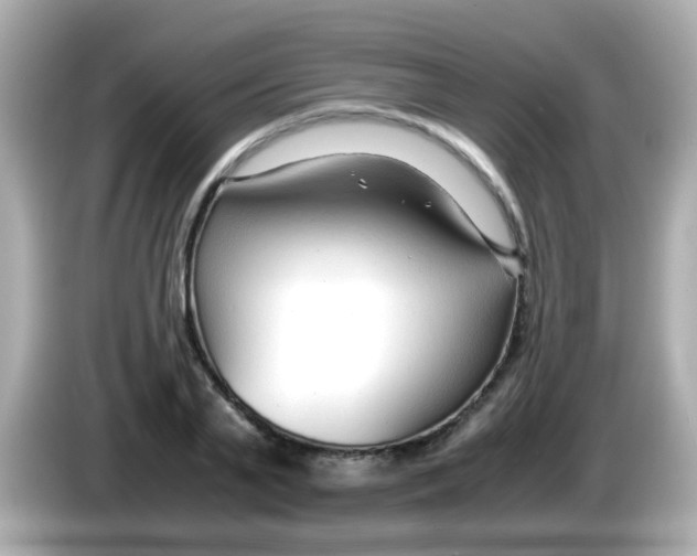 X0000085790791200704091429