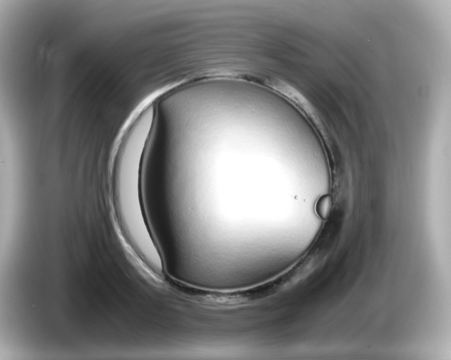 X0000085790795200704091429