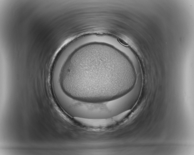 X0000085790797200704091429