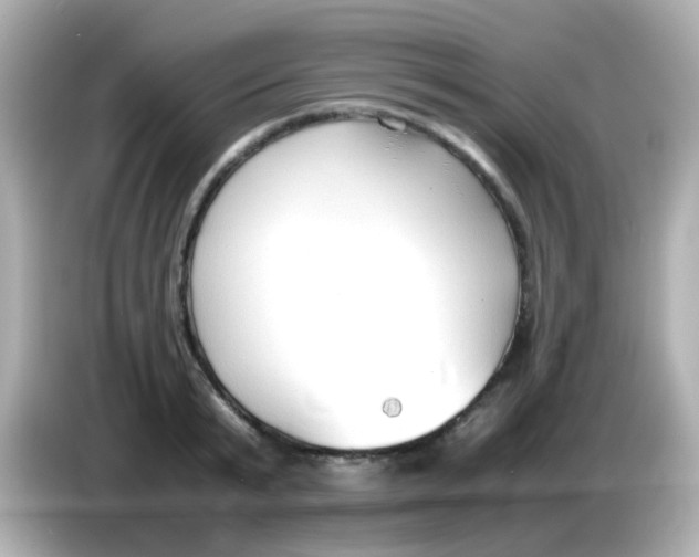 X0000085790799200704091429