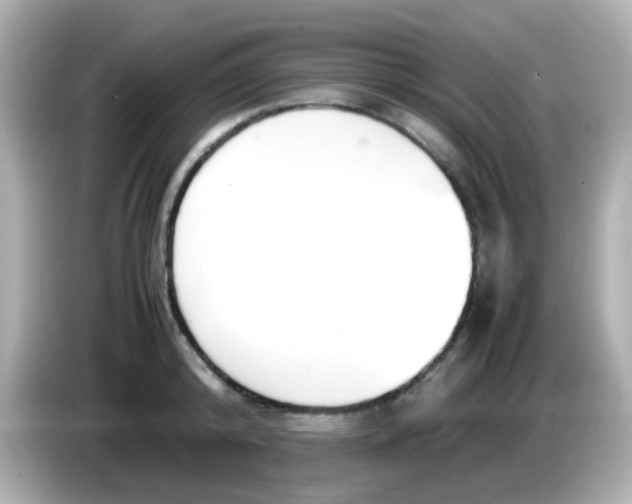 X0000085790800200704091429