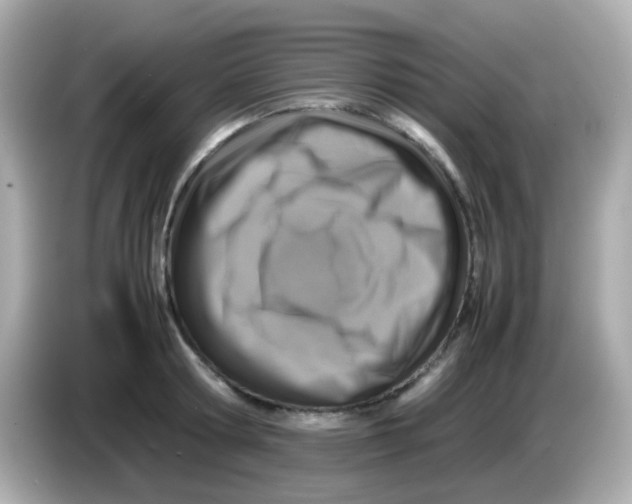 X0000085790802200704091429