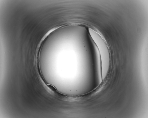 X0000085790803200704091429