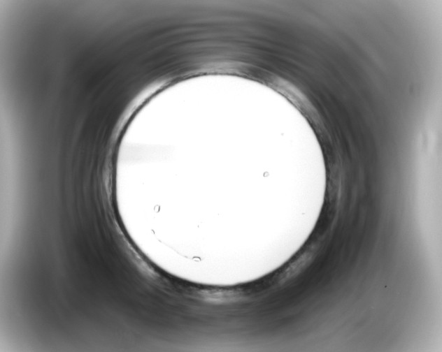 X0000085790804200704091429