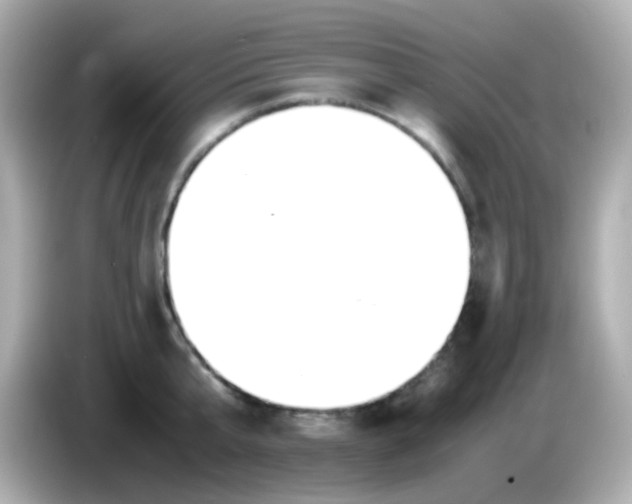X0000085790807200704091429
