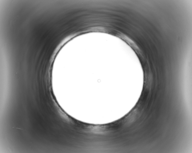 X0000085790808200704091429