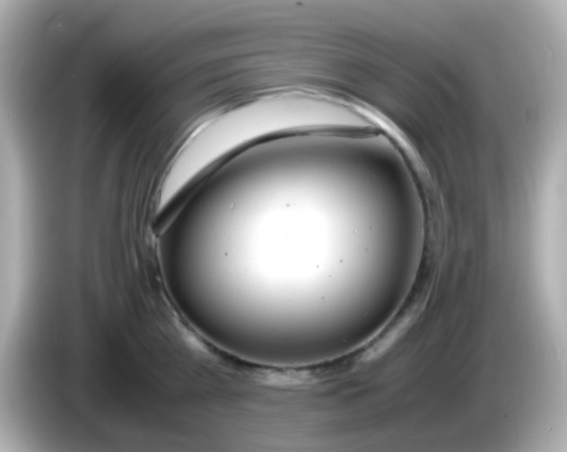 X0000085790809200704091429