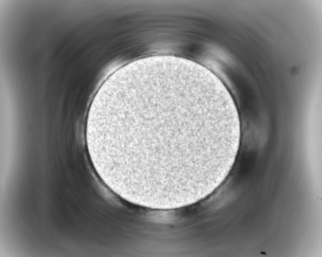 X0000085790810200704091429