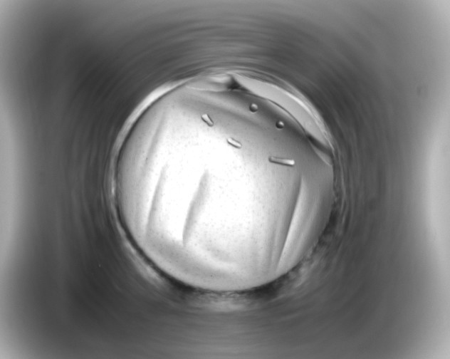 X0000085790811200704091429