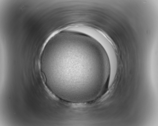 X0000085790813200704091429