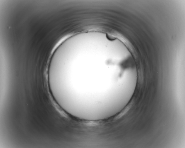 X0000085790814200704091429