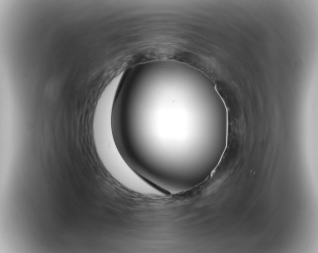 X0000085790818200704091429