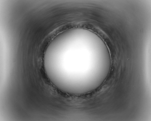 X0000085790821200704091429