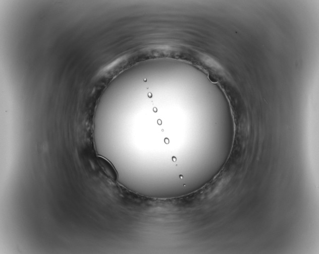X0000085790822200704091429