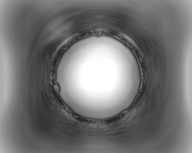 X0000085790823200704091429