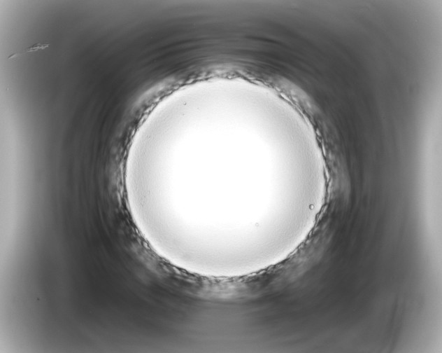 X0000085790824200704091429
