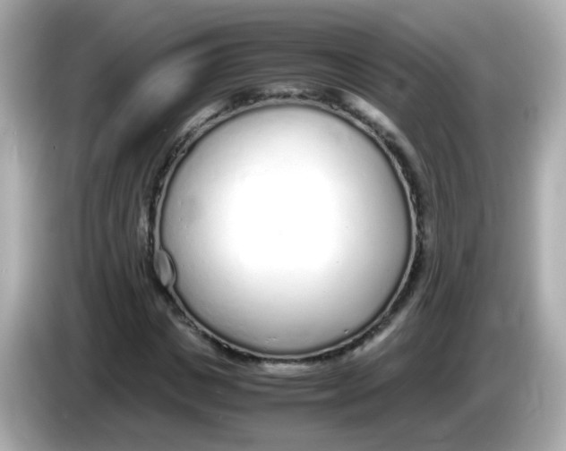 X0000085790825200704091429