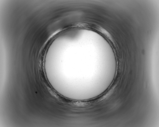 X0000085790827200704091429