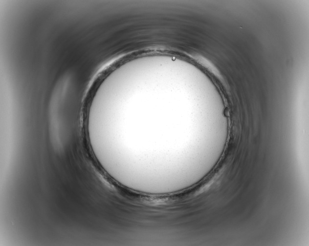 X0000085790831200704091429