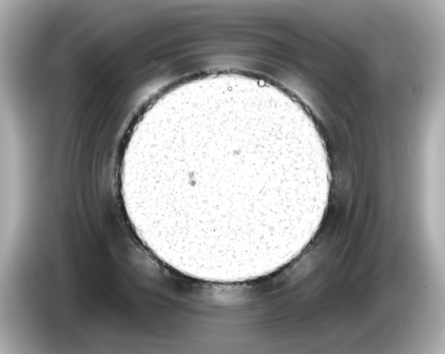 X0000085790832200704091429