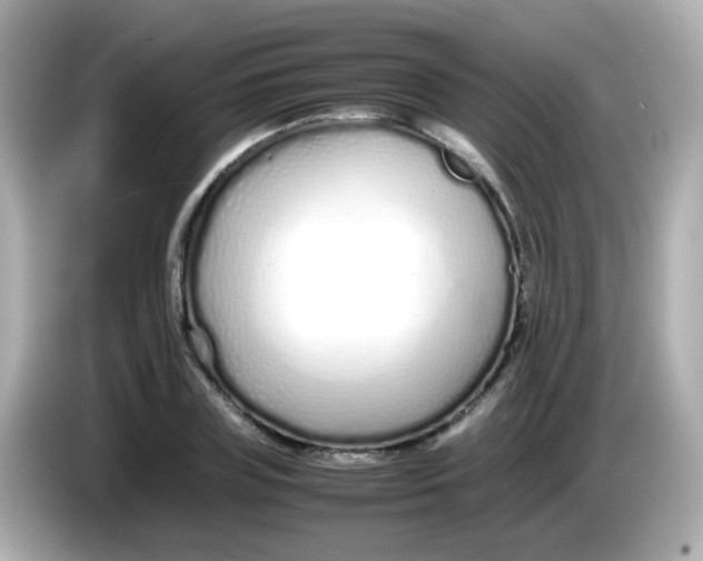 X0000085790835200704091429