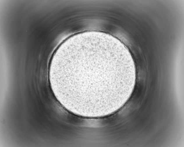 X0000085790836200704091429