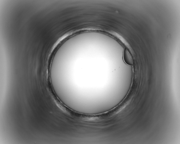 X0000085790837200704091429