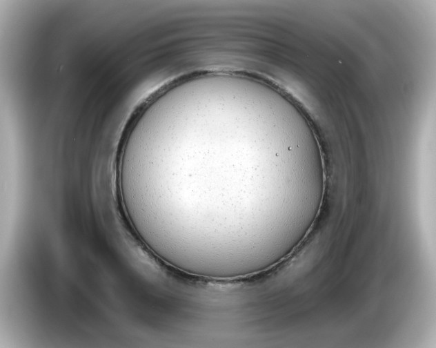 X0000085790840200704091429