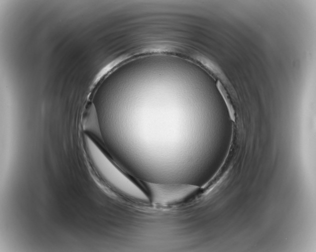 X0000085790842200704091429