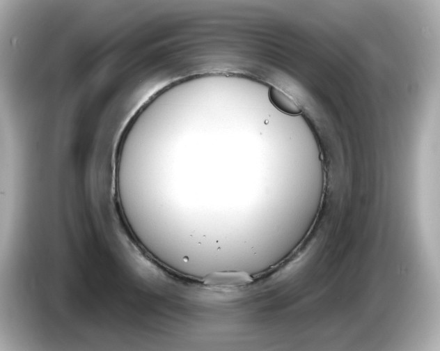 X0000085790844200704091429