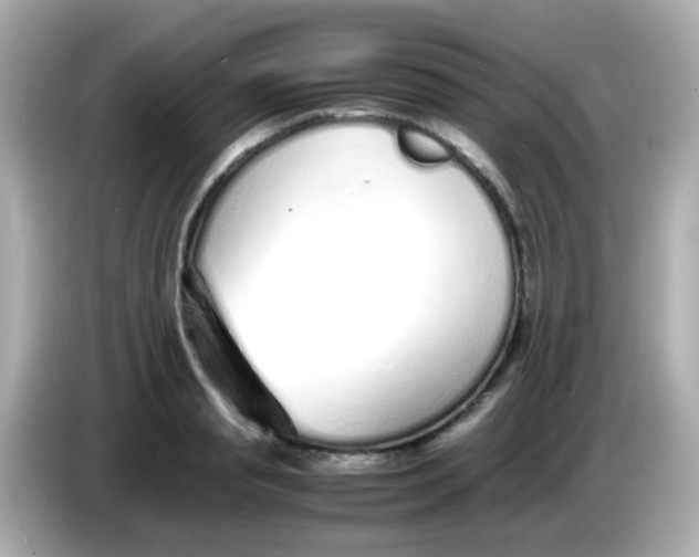 X0000085790845200704091429