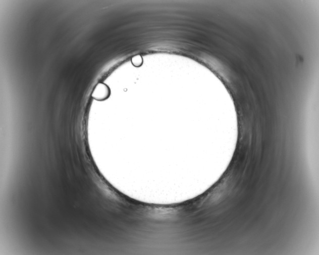 X0000085790848200704091429