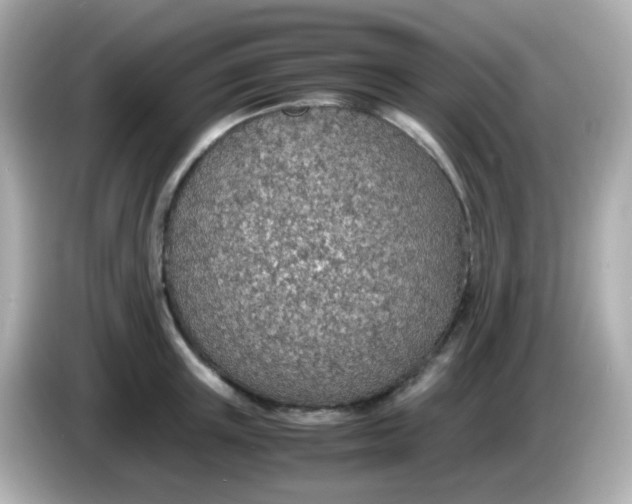 X0000085790851200704091429
