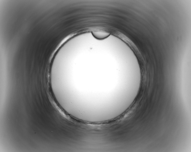 X0000085790852200704091429