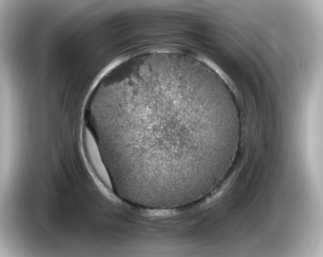 X0000085790853200704091429
