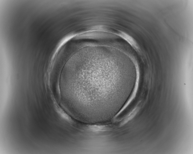 X0000085790854200704091429
