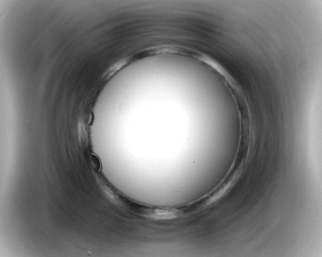 X0000085790857200704091429