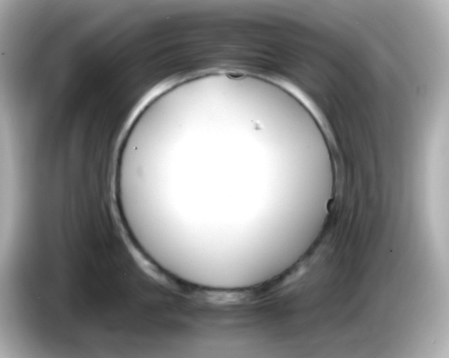X0000085790861200704091429