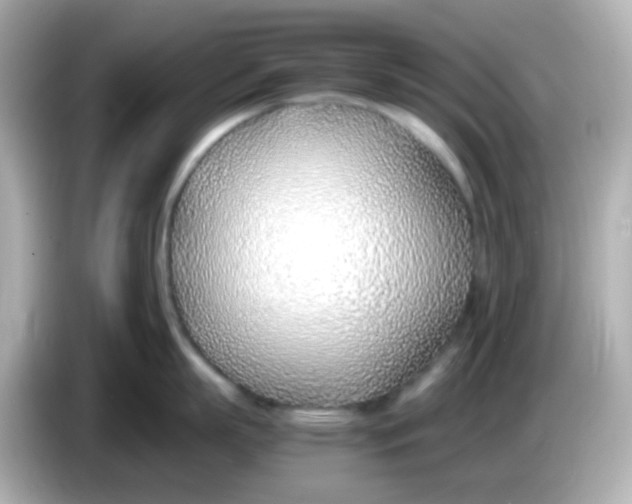 X0000085790863200704091429