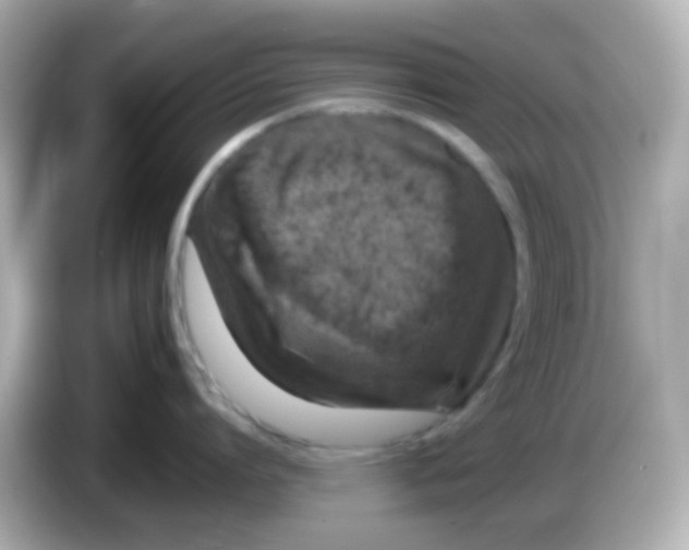 X0000085790864200704091429