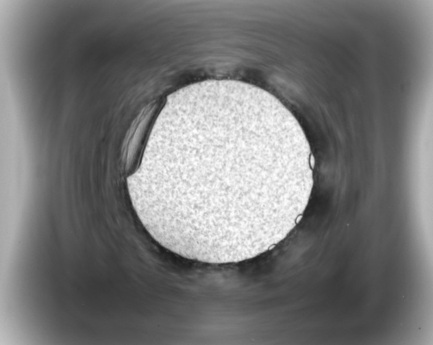 X0000085790865200704091428