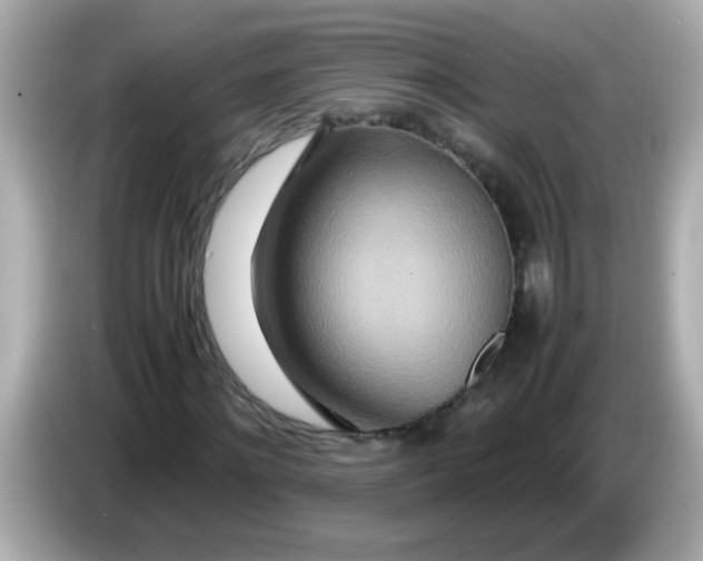 X0000085790868200704091428
