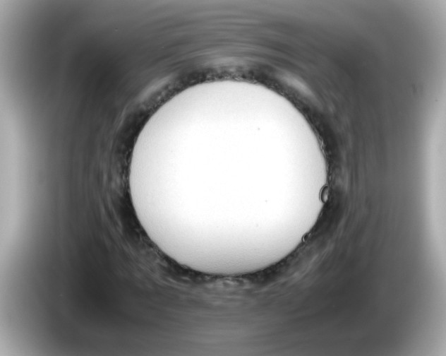 X0000085790869200704091428