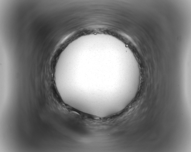 X0000085790871200704091428