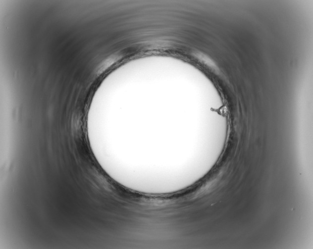 X0000085790873200704091428