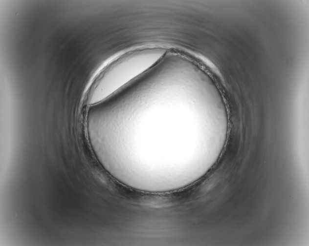 X0000085790879200704091428